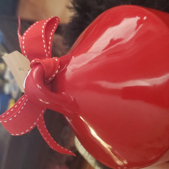 Rae Dunn bird house - Picture 4 of 5